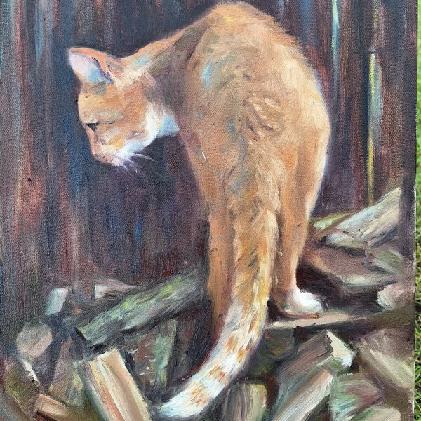 Kaķa gaitas. a./e. , 50x40 cm,  2023,  PRIVĀTKOLEKCIJĀ