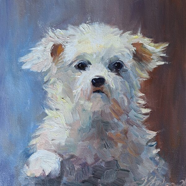 Draudzēsimies! a/e., 40x40cm, 2024