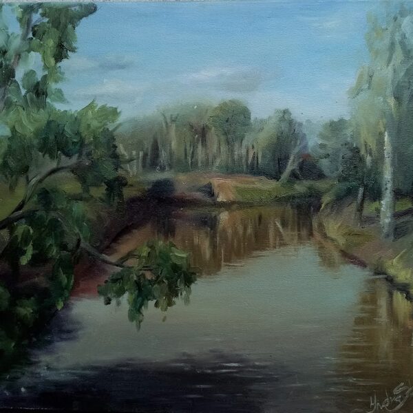 Miers pēc negaisa, a/e, 40x50, 2020